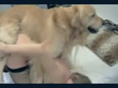 Mexzoo brown furry dog banging a teen from behind